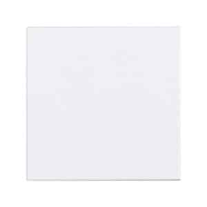 Ersatzglasscheibe für Handmeldergehäuse (70490x/7048xx) große Bauform | 704910